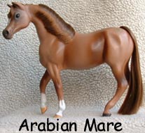 Arabian Mare, Quintessential Champion